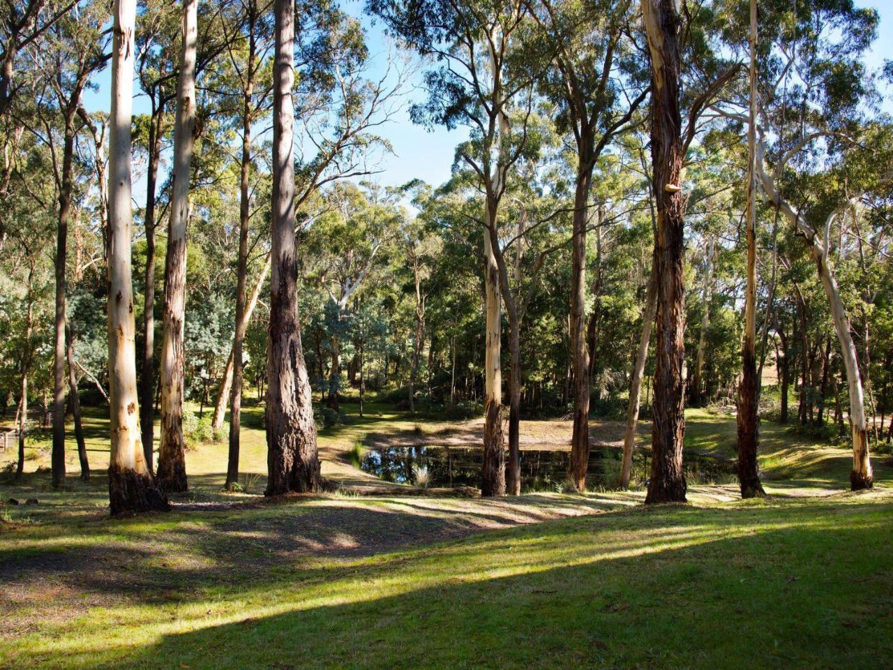 Gumnut Cottage Daylesford Eksteriør billede